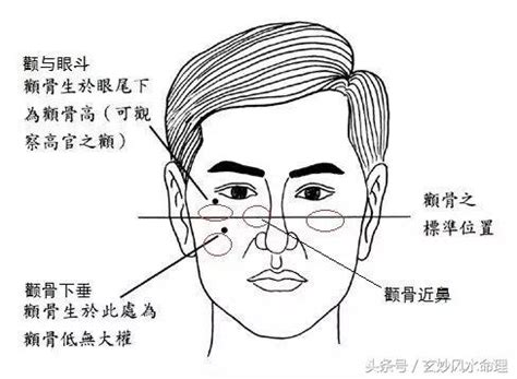 臉頰有肉 面相|面相：從顴骨看你的富貴有多大！